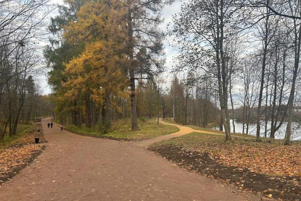 В Приоратском парке отремонтировали более тысячи погонных метров дорожек