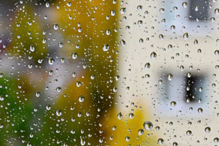 24 октября в Брянской области пройдут небольшие дожди