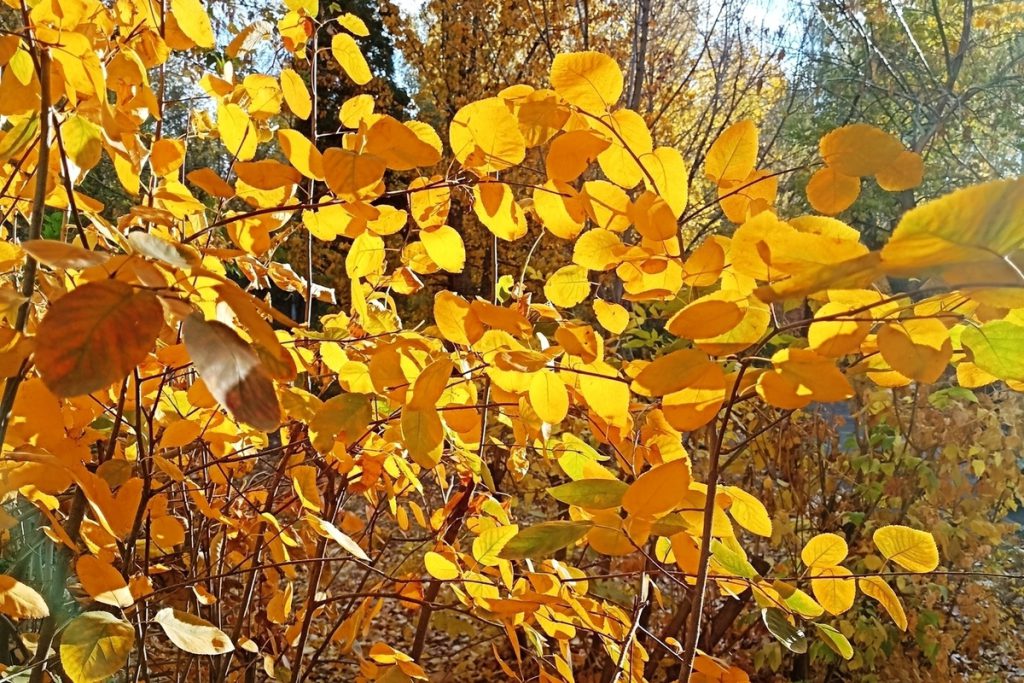 Сила магнитной бури 20 октября составит 3 балла: не стоит начинать новые дела