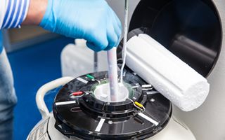 SOL Azioni in Rialzo: Equita Aumenta il Target Price a 55 Euro e Conferma la Raccomandazione di Acquisto