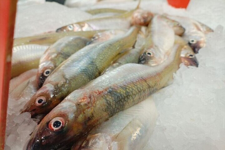 Врач раскрыла, какие продукты нужно есть осенью