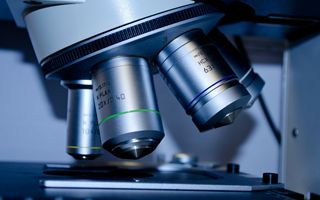 Rocket Pharmaceuticals, ok della FDA a nuova domanda di licenza biologica per KRESLADI