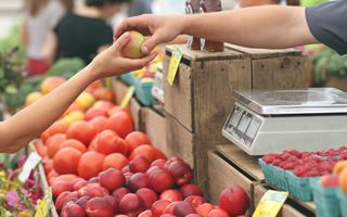 La Commissione Europea Taglia la PAC 2028-2034 del 20%: Coldiretti Critica la Mancanza di Risposte Concrete per il Settore Agricolo