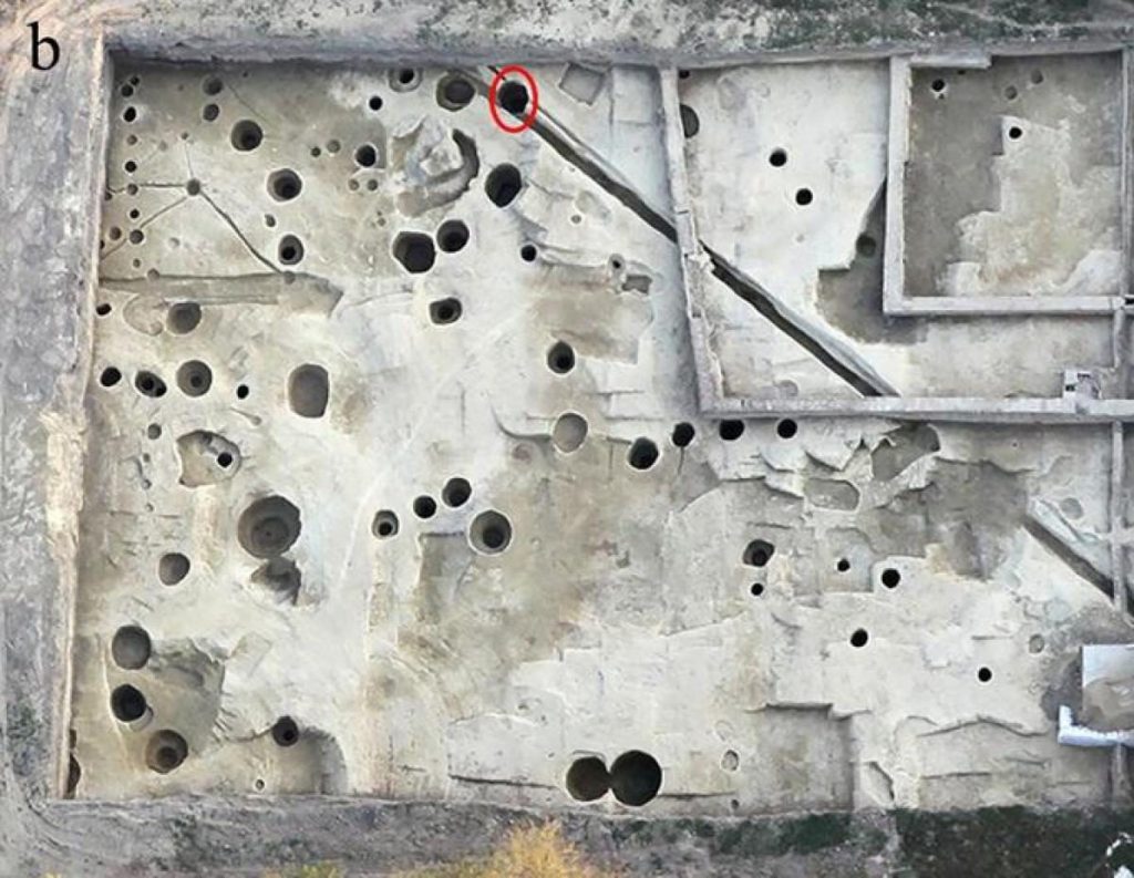 В колодце нашли изуродованные скелеты римских солдат