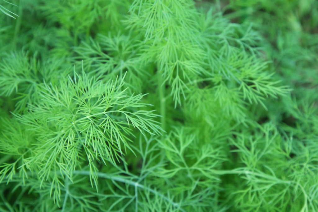 Perdita di peso sana: come Sof&#039;ja Zajka è riuscita a perdere 20 chili con deficit calorico e stile di vita equilibrato