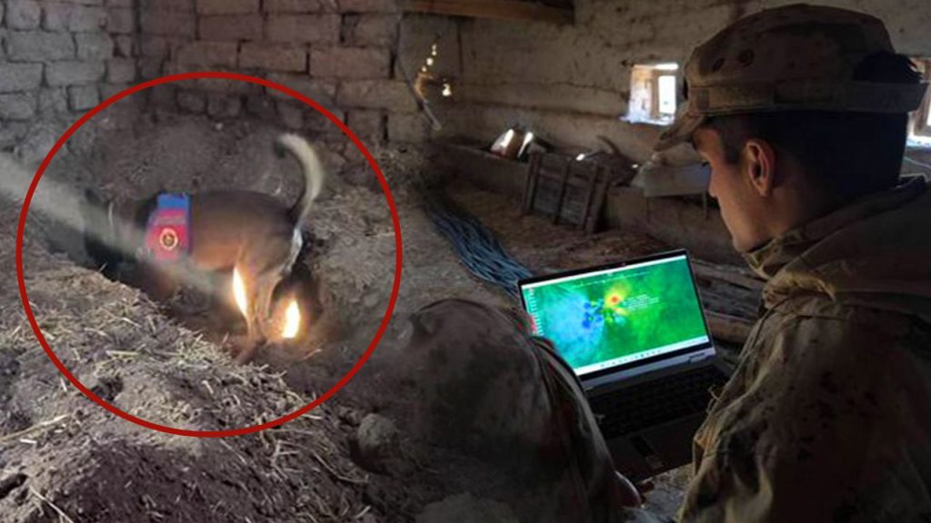 Omicidio a Eskişehir Dopo 14 Anni di Mistero Svelato con Arresto del Fratello della Vittima