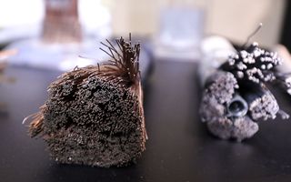 TLC, offerta da 17 miliardi di euro per asset Altice in Francia da Bouygues, iliad e Orange