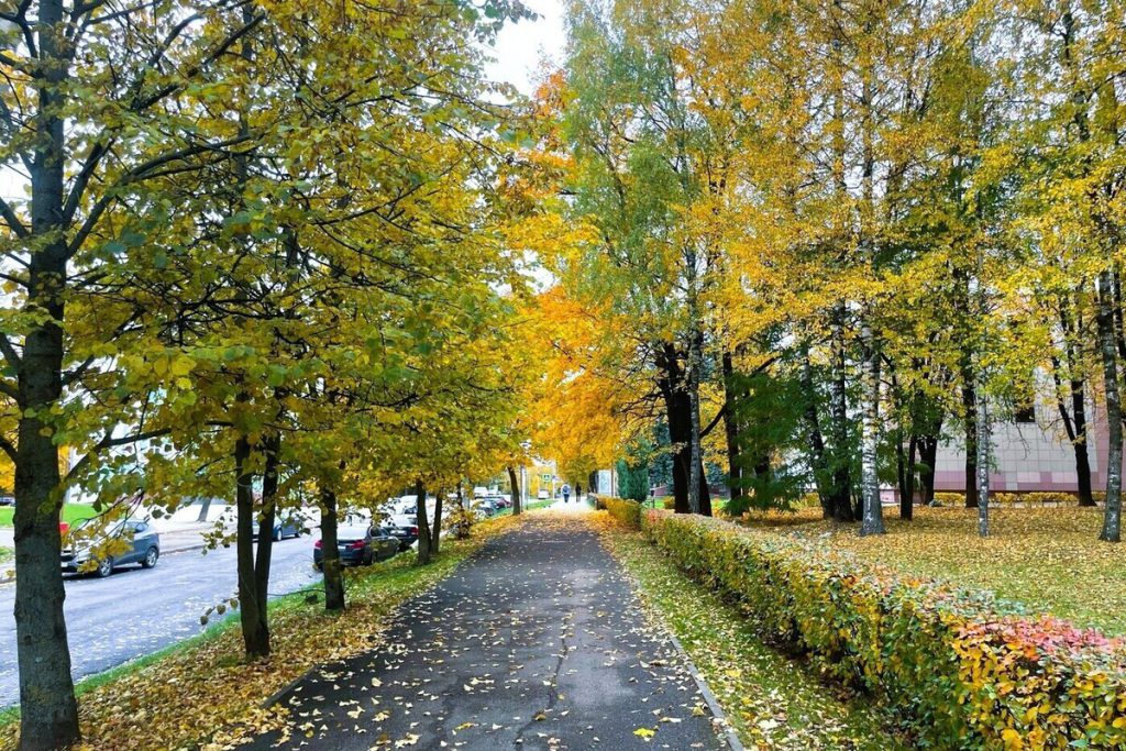 Какая погода будет стоять в Смоленске 25 октября