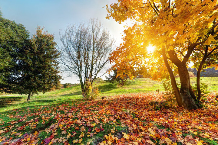 Туман и 16 градусов тепла прогнозируют в Херсонской области 22 октября