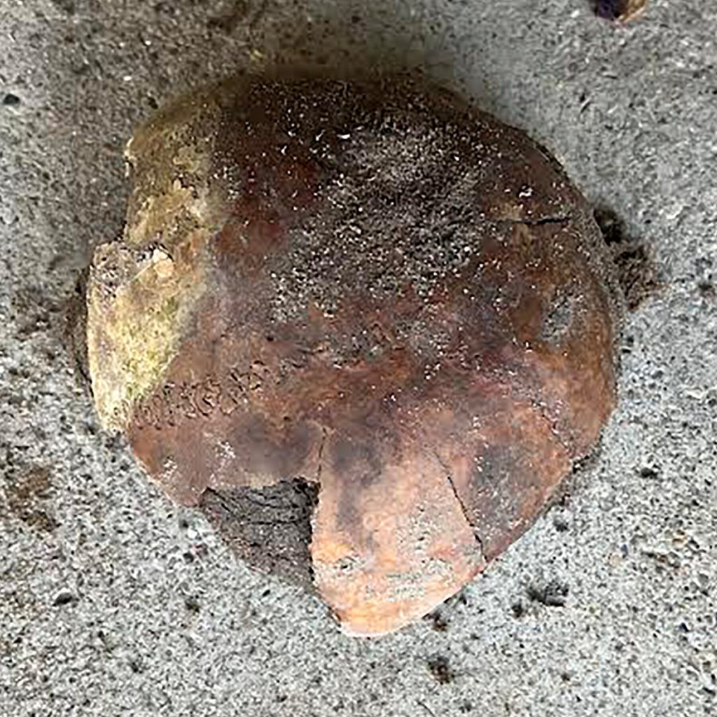 Part of a 4,200-Year-Old Human Skull Is Found Along an Indiana Riverbank
