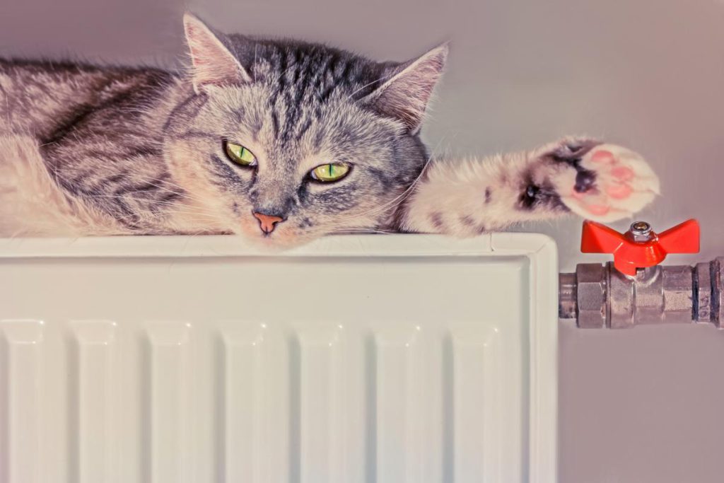 В &quot;Укрэнерго&quot; рассказали, когда в Украине включат отопление в домах