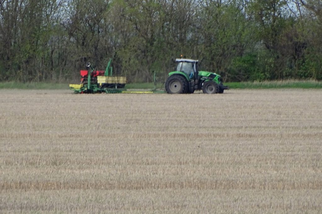 Circa un milione di ettari di terreno seminato a colture invernali nella regione di Stavropol&#039;