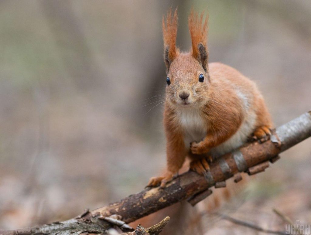 Сегодня киевлян ждет самый холодный день недели