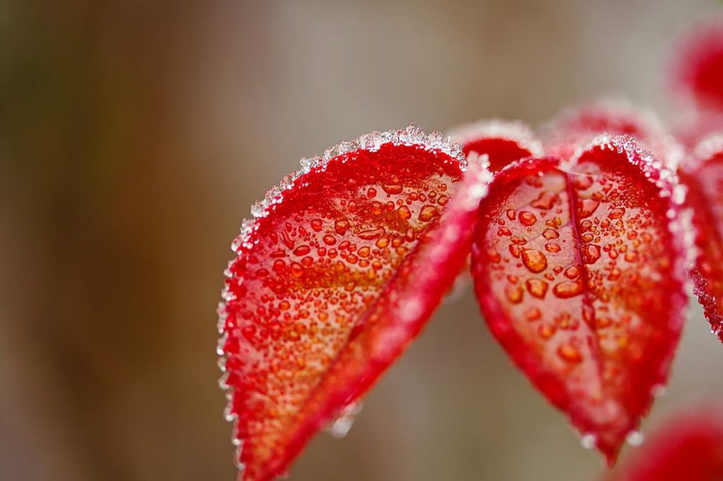 19 октября похолодание с дождями и мокрым снегом накроет почти всю Украину