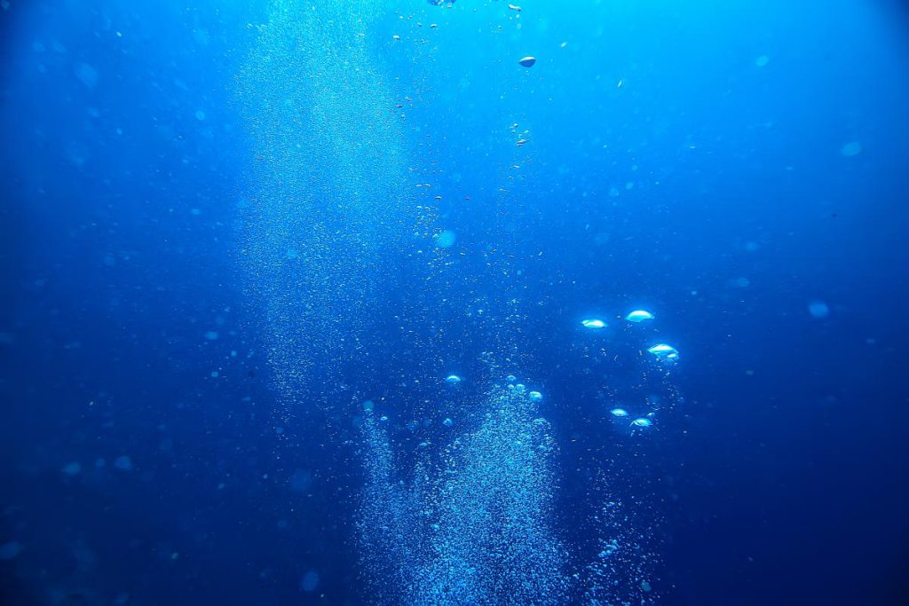 Scoperta di un nuovo tipo di mollusco negli abissi oceanici a 6465 metri di profondità