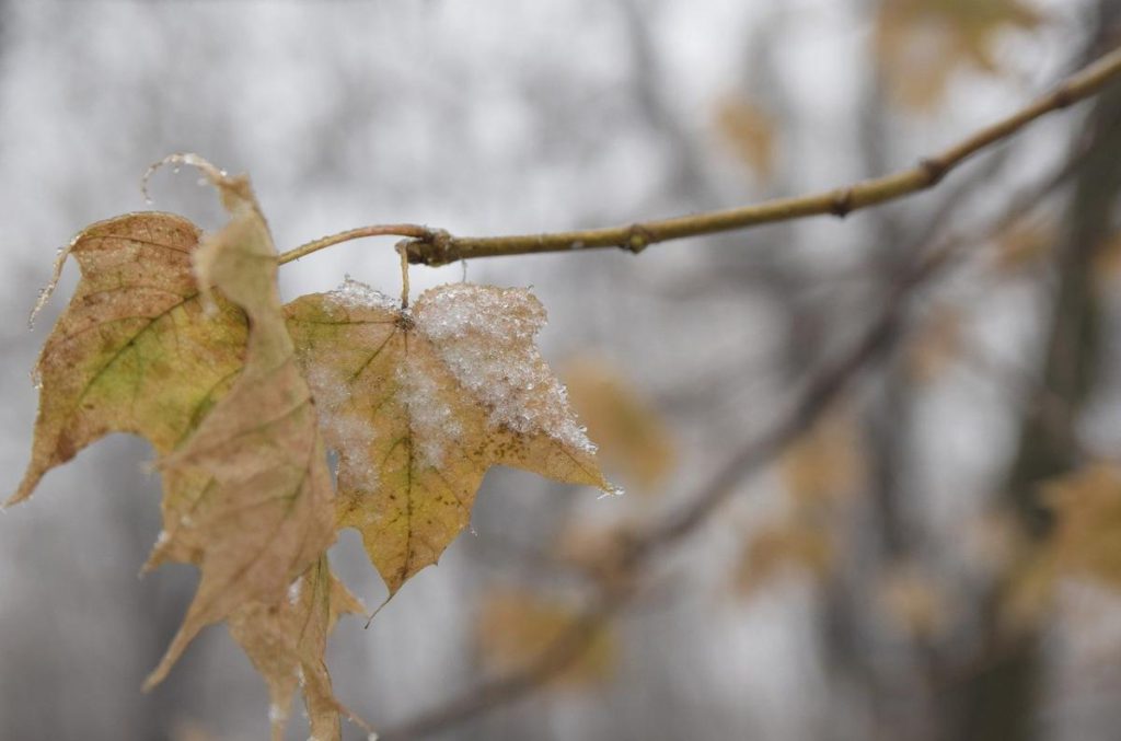 Похолодание с дождями и мокрым снегом уже на пороге: синоптик назвала точные даты