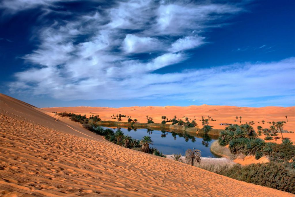Il Sahara verso una trasformazione epocale: come il riscaldamento globale potrebbe rendere verde il deserto più grande del mondo entro la fine del secolo