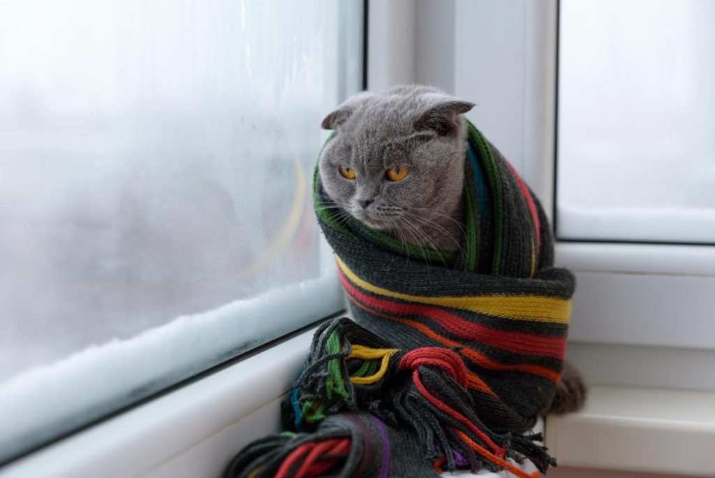 Чем отапливать квартиру без газа и света: как сделать обогреватель своими руками