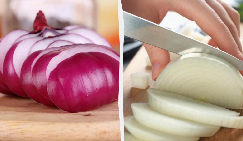 Какой лук полезнее - белый или красный: диетологи дали точный ответ