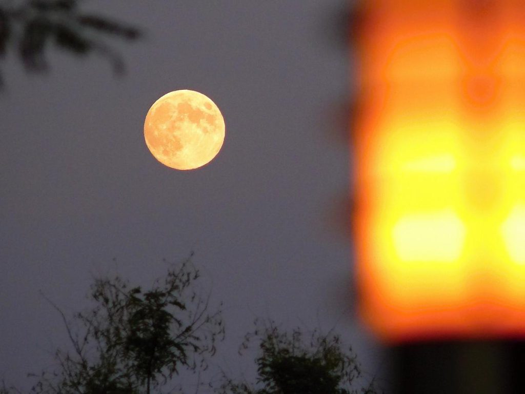 Novembre 2025: Scopri i Giorni Fortunati secondo il Calendario Lunare per Attractare Denaro e Amore nella Tua Vita