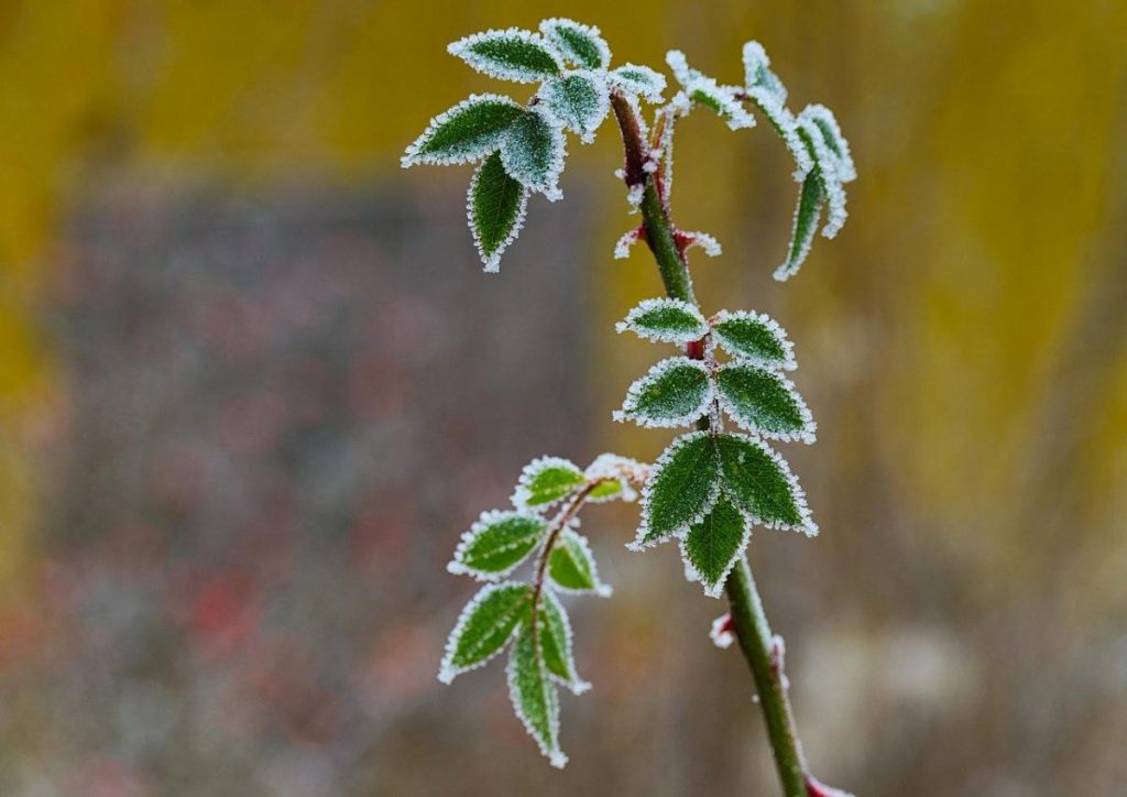 В Харькове на две ночи подряд объявили І уровень опасности: что происходит