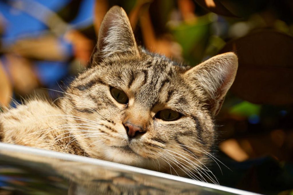 Синоптик сообщила, когда в Украине наконец-то может потеплеть