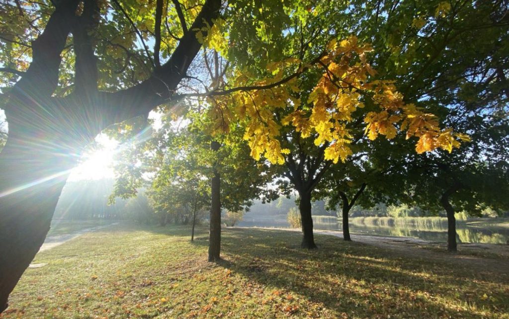 Завтра в Киеве будет последний погожий день: впереди дожди и похолодание