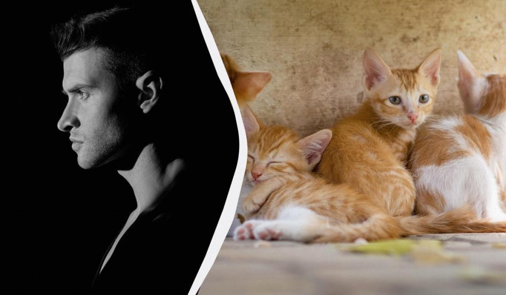 Учёные раскрыли мрачную правду о тех, кто не любит животных: это не просто равнодушие