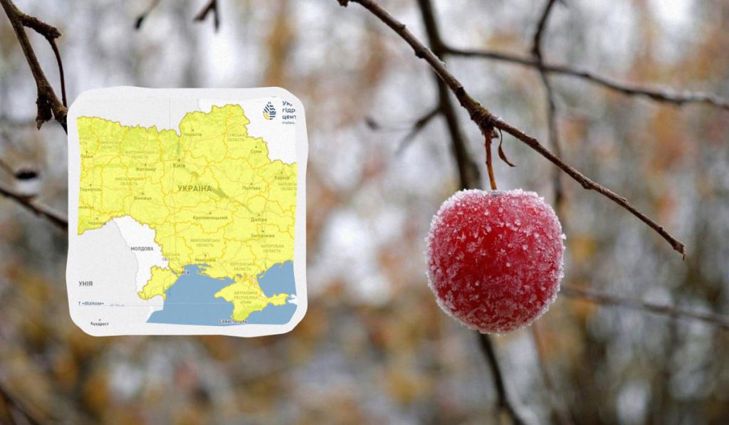 Заморозки будут сильнее, чем ожидалось: Укргидрометцентр обновил прогноз