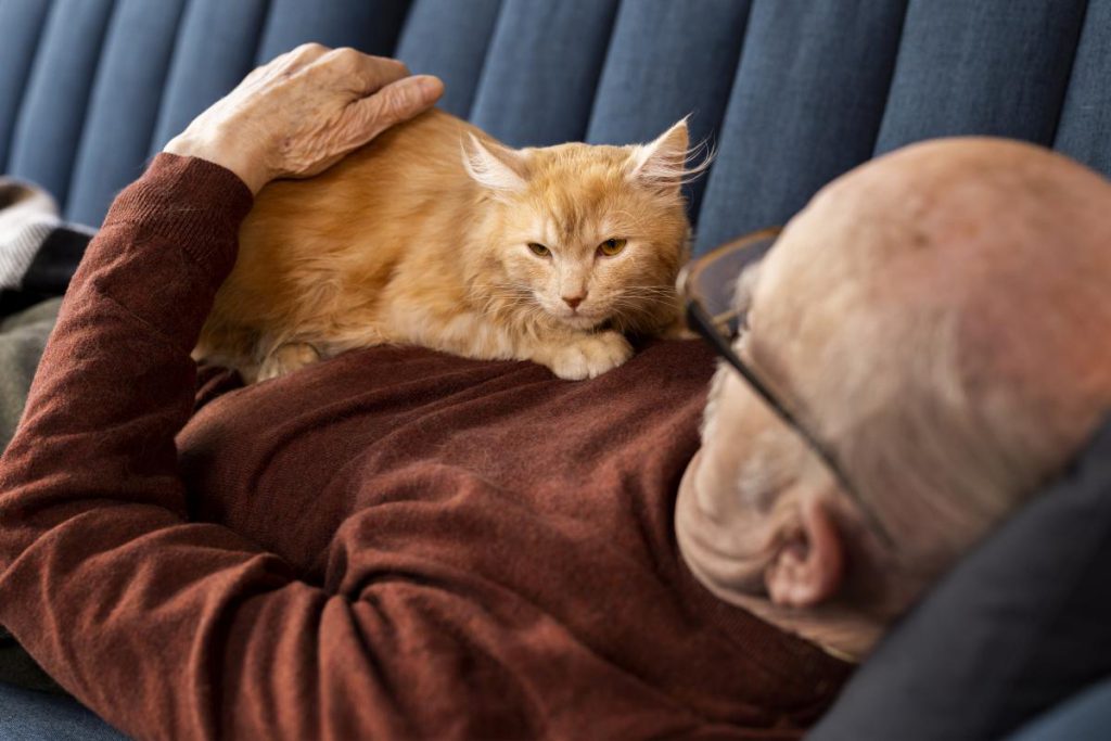 Почему кошка спит только на вас: причина трогательнее, чем вы думаете