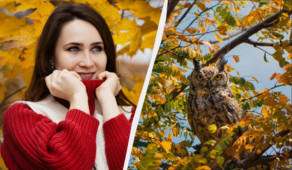 Много праздников и обычаев: кого поздравить и что сделать 20 октября 2025