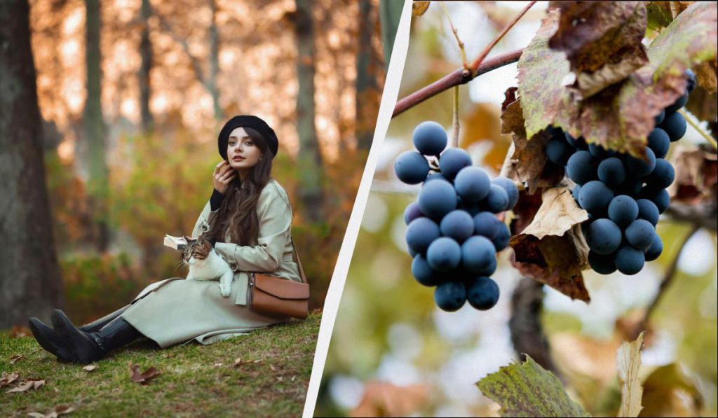 Чего нельзя делать родителям: запреты и обычаи в праздник 24 октября 2025