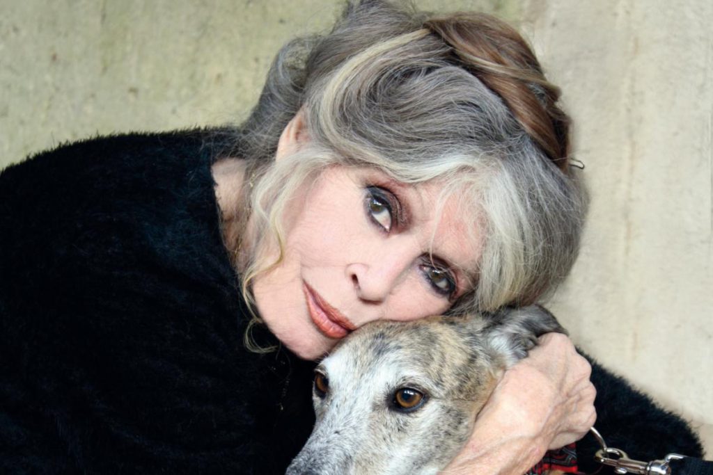 Брижит Бардо вышла на связь после того, как ее &quot;похоронили&quot; в сети