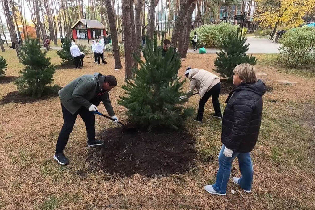 В Воронеже высадят более тысячи деревьев и кустарников этой осенью