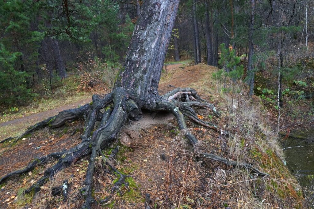 До +13 градусов будет во вторник на Южном Урале