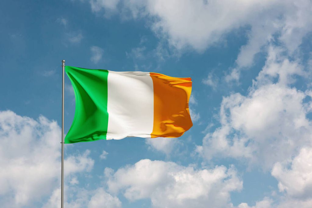 Представительница правящей партии Ирландии проиграла президентские выборы