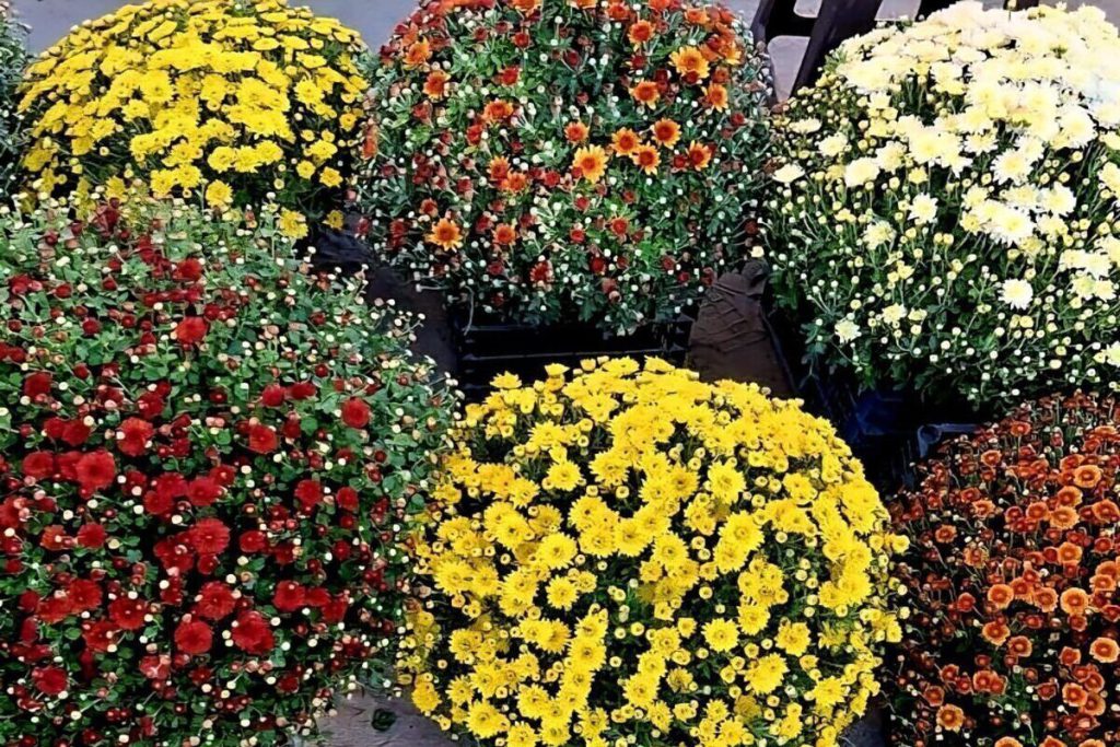 В Херсонской области сегодня осадков не ожидается и +17 градусов