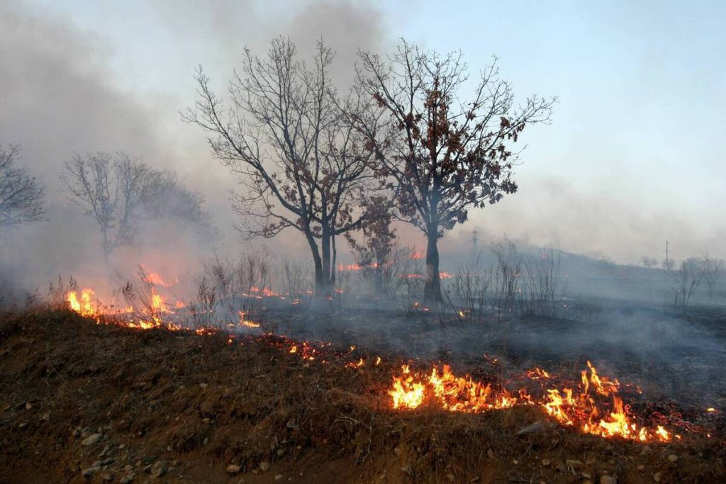 В Иркутской области водители прорываются сквозь густой дым