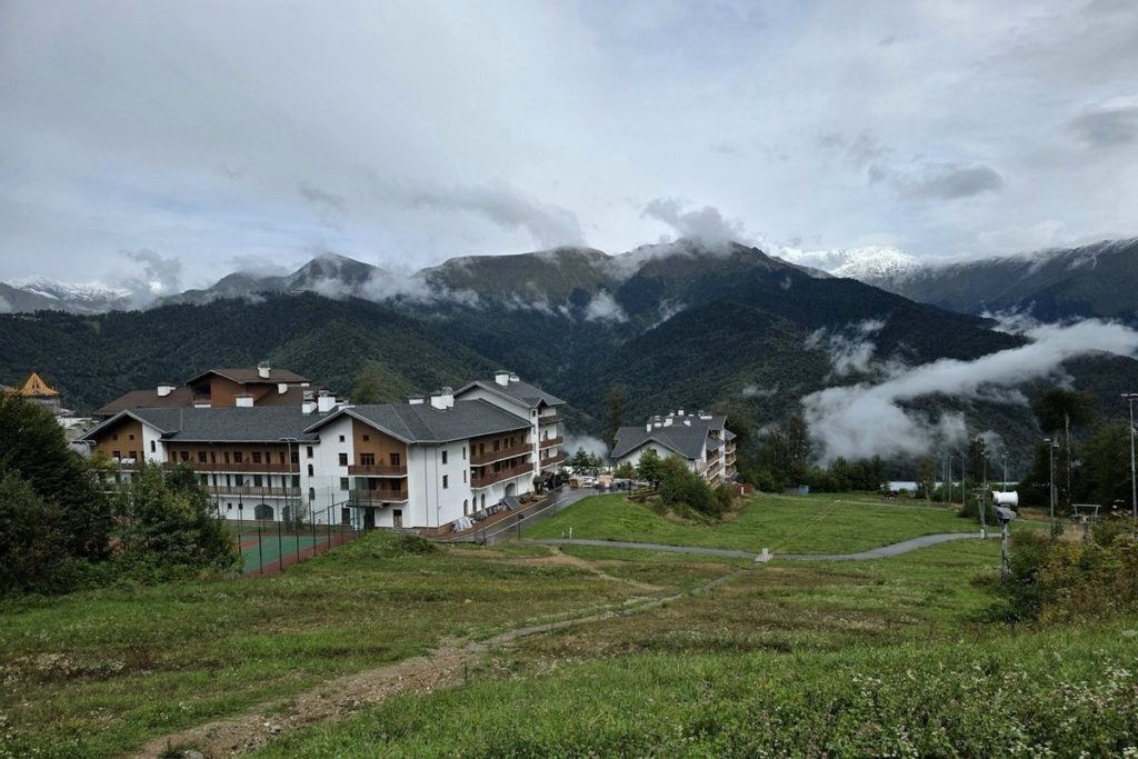 В Сочи детеныш косули упал во двор дома, спасаясь от собак