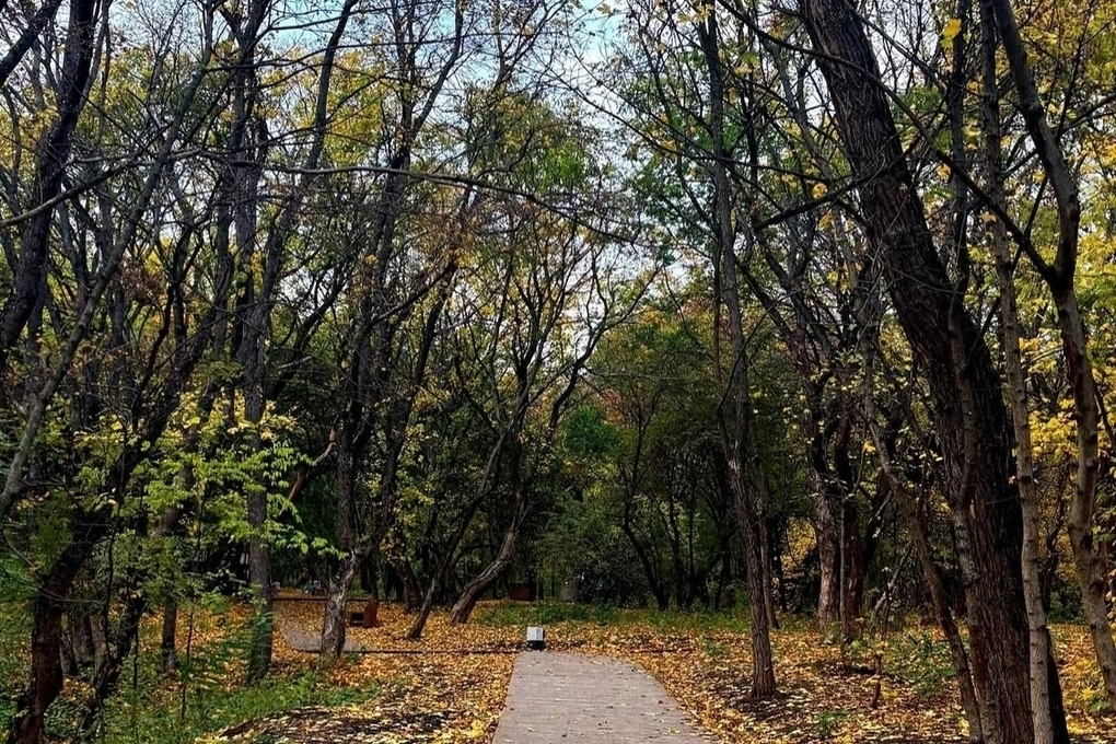 Previsioni Meteo per Rostov sul Don: Temperature in Calo nel Fine Settimana