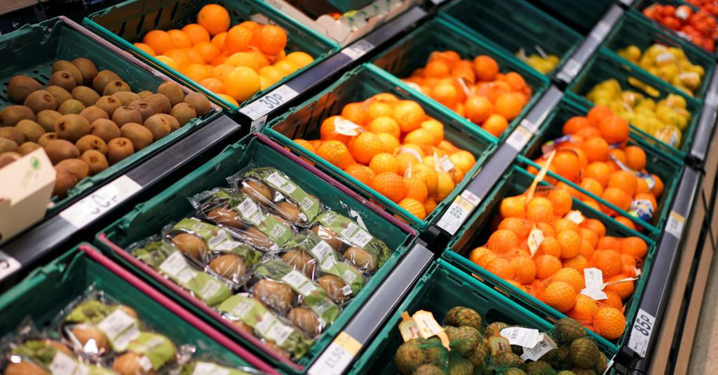 Biomateriali, dalla moda all’edilizia una vera rivoluzione