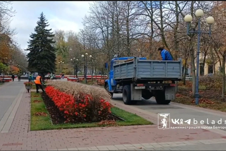 В Белгороде начали готовить к зиме деревья и клумбы