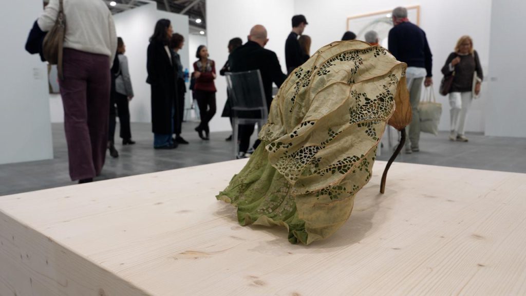 L&#039;Arte della Natura: Elisabetta Di Maggio e la sua Opera d&#039;Arte con una Foglia di Loto Scolpita a Mano