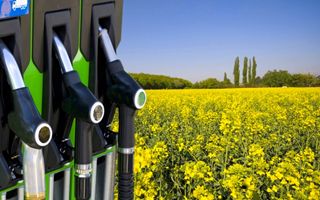 Biocarburanti, opportunità o illusione energetica?