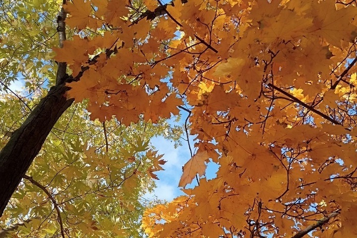 Tempesta Geomagnetica di Intensità 4: Previsioni e Possibili Conseguenze per il 15 Ottobre