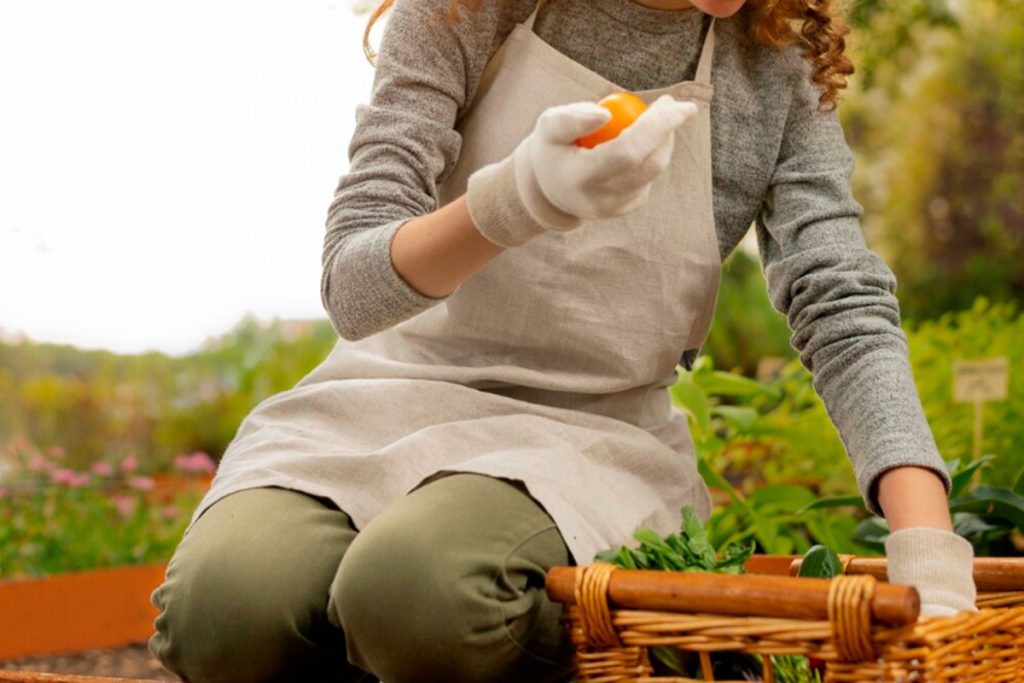 В Липецкой области помощь по хозяйству обернулась прикрытием для кражи