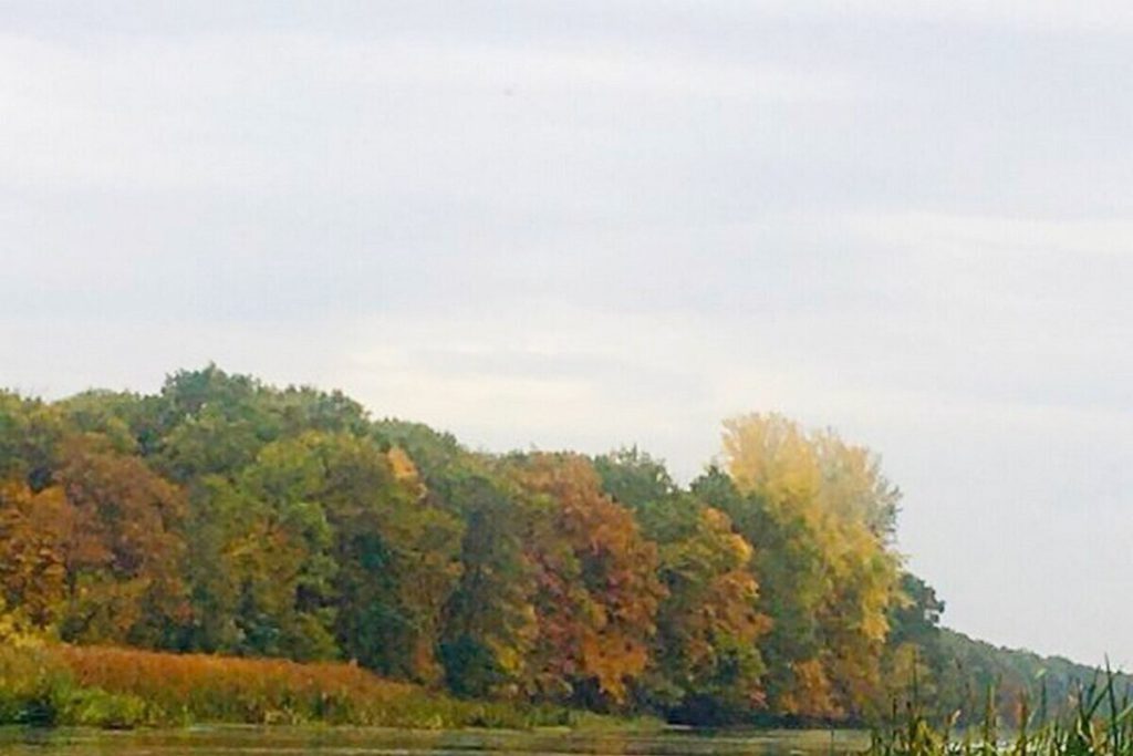 Военный летчик пояснил сверхзвук от самолета, испугавший воронежцев