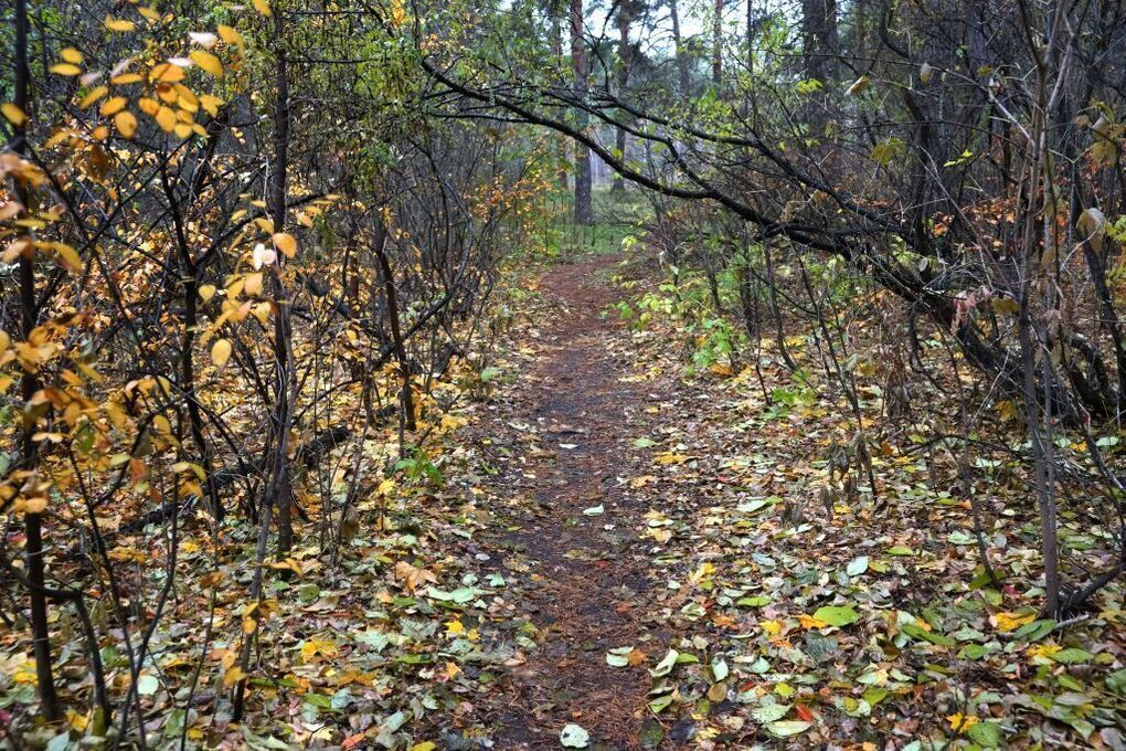 До +12 градусов будет в воскресенье на Южном Урале