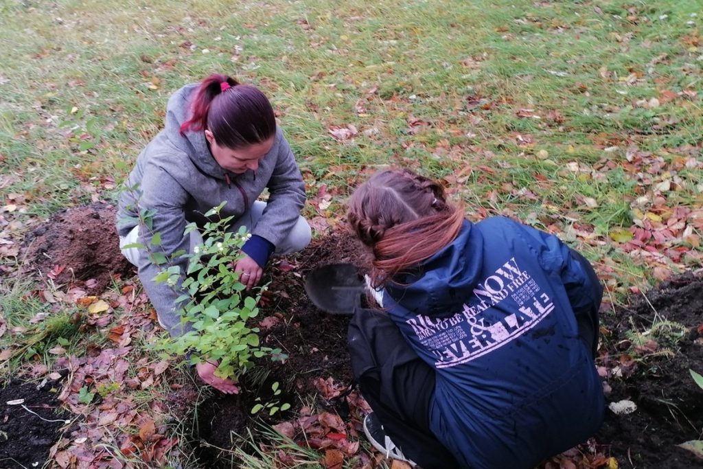 Рядом с Кольской школой высадили «Аллею Памяти»