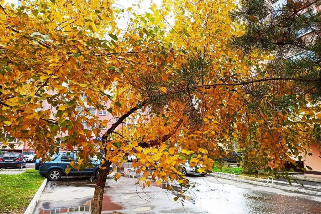 Владимирские синоптики сделали экстренное предупреждение